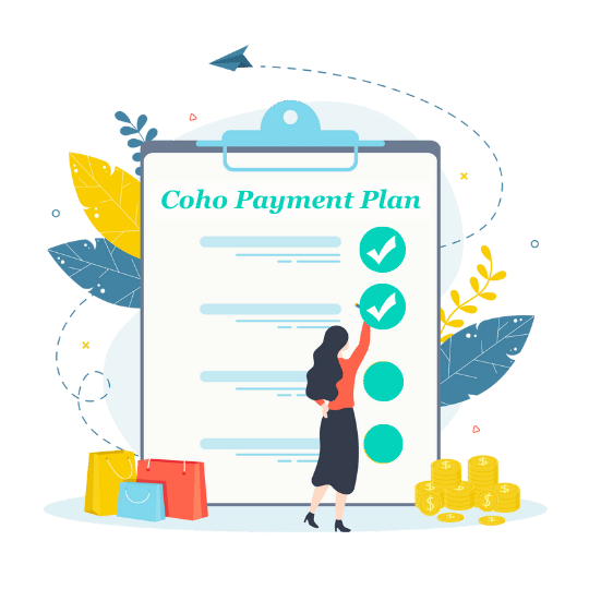 Coho payment plan image